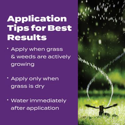 Image showing 6 th Scotts Turf Builder Bonus S Southern Weed & FeedF2, 34.48 lbs.