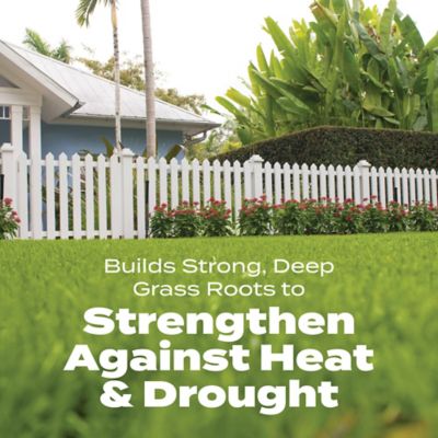 Image showing 7 th Scotts Turf Builder Bonus S Southern Weed & FeedF2, 34.48 lbs.