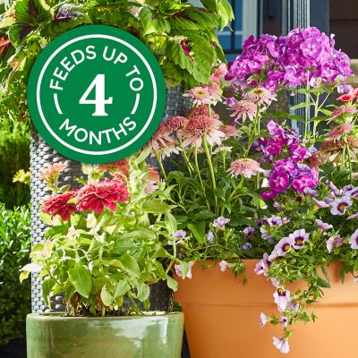 Image showing 5 th Osmocote Smart-Release Plant Food for Flowers & Vegetables, 4.5 lb.