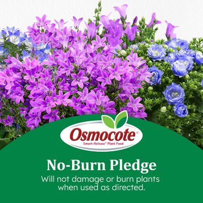 Image showing 8 th Osmocote Smart-Release Plant Food for Flowers & Vegetables, 4.5 lb.
