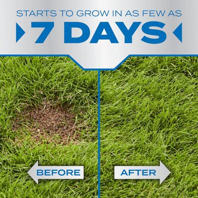 Image showing  10 lb. PatchMaster Lawn Repair Mix Sun and Shade Grass Seed Mix