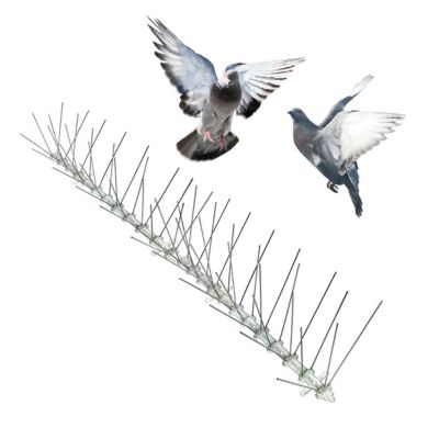 Image showing  10 ft. Stainless Steel Bird Spikes