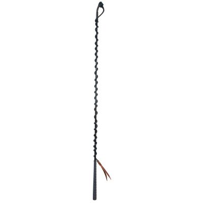 Weaver Equine Stacy Westfall Horse Training Stick and String Tool, Fiberglass Shaft, Golf Club Style Handle, 48 in., Black/Blue