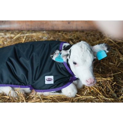 Image showing  Pro-Calf 200g/900D Polyester Calf Blanket, Small, Black