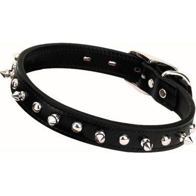 Weaver Pet Spike Dog Collar, 1 in.