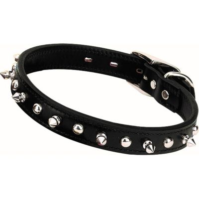 Weaver Leather Spike Dog Collar