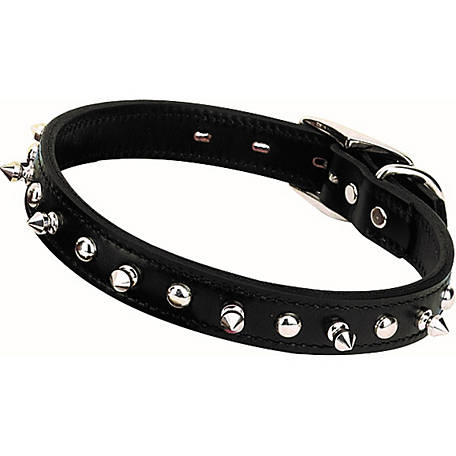Weaver Leather Spike Collar at Tractor Supply Co.