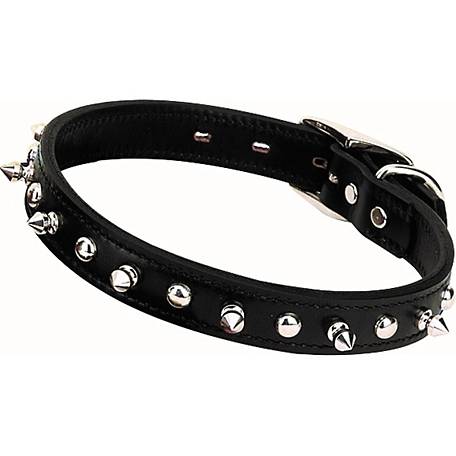 Weaver Leather Spike Dog Collar, 06-1450-25 at Tractor Supply Co.