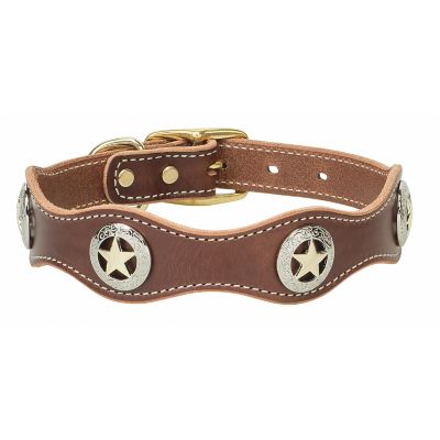 Weaver Pet Lone Star Legend Dog Collar, 1 in.