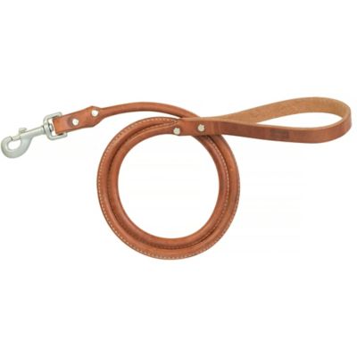 rolled leather leash