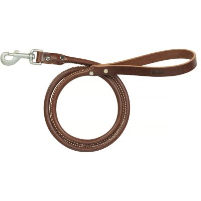 Terrain D.O.G. Bridle Leather Rolled Dog Leash, 6 ft.