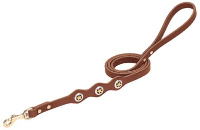 Weaver Leather Lone Star Legend Dog Leash, 3/4 in. x 4 ft., Sunset