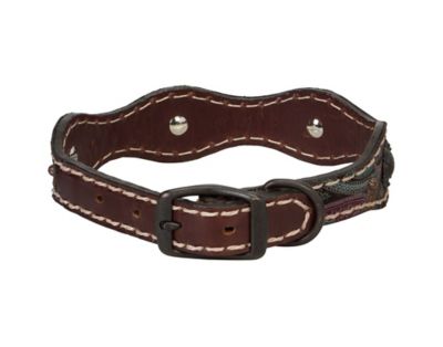 Image showing  Vintage Paisley Dog Collar