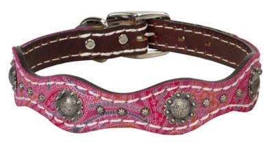 Weaver Equine Vintage Paisley Dog Collar