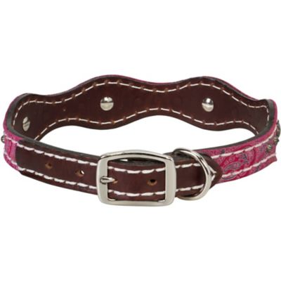 Image showing  Vintage Paisley Dog Collar