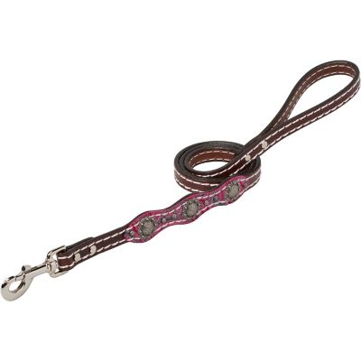 Weaver Leather Vintage Paisley Dog Leash