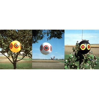 Image showing  18 in. Scare Eye Inflatable Bird Chasers, 3 pc.