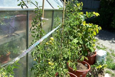 Image showing 5 th Bird-X 25 ft. Holographic Bird Scare Ribbon