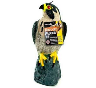 Image showing 5 th Bird-X 7 in. Peregrine Falcon Decoy