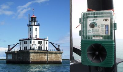 Image showing  BirdXPeller PRO Electronic Bird Repeller for Pigeons, Starlings and Seagulls, 1 Acre