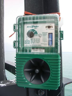 Image showing  BirdXPeller PRO Electronic Bird Repeller for Pigeons, Starlings and Seagulls, 1 Acre