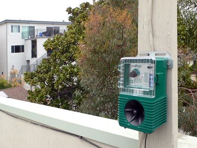 Image showing 5 th Bird-X BirdXPeller PRO Electronic Bird Repeller for Pigeons, Starlings and Seagulls, 1 Acre