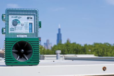 Image showing  BirdXPeller PRO Electronic Bird Repeller for Blackbirds, Grackles and Crows, 1 Acre