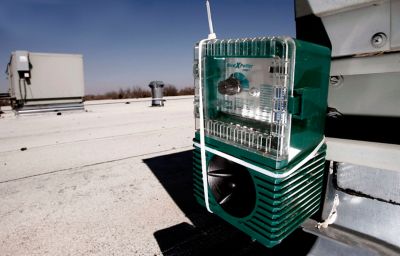 Image showing  BirdXPeller PRO Electronic Bird Repeller for Blackbirds, Grackles and Crows, 1 Acre