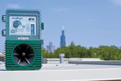 Image showing 5 th Bird-X BirdXPeller PRO Electronic Bird Repeller for Blackbirds, Grackles and Crows, 1 Acre