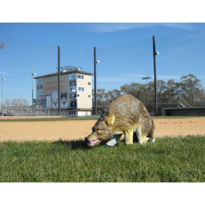 Image showing  30 in. 3D Coyote Decoy, Lifelike Predator