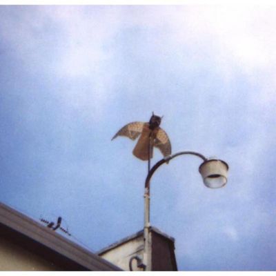 Image showing  6 in. Flying Owl Decoy with Moving Wings