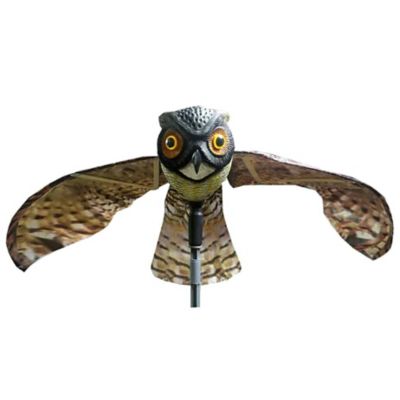 Image showing  6 in. Flying Owl Decoy with Moving Wings