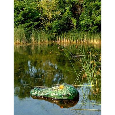 Image showing  6 in. Gator Guard Alligator Decoy