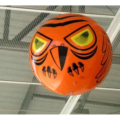 Image showing  24 in. Terror-Eyes Inflatable Bird Chaser