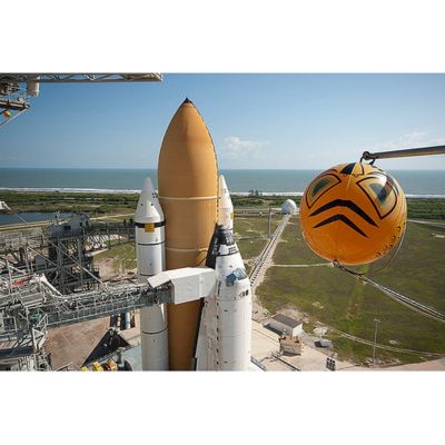 Image showing  24 in. Terror-Eyes Inflatable Bird Chaser