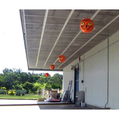 Image showing  24 in. Terror-Eyes Inflatable Bird Chaser