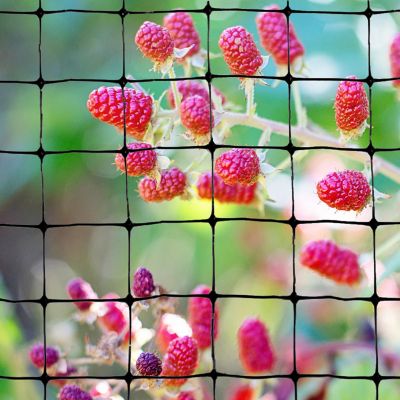 Image showing  14 ft. x 100 ft. Lightweight Plastic Bird Netting