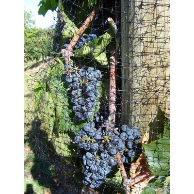 Image showing  14 ft. x 100 ft. Lightweight Plastic Bird Netting