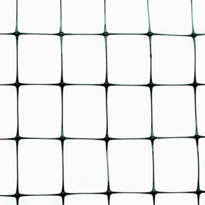 Image showing  14 ft. x 100 ft. Lightweight Plastic Bird Netting