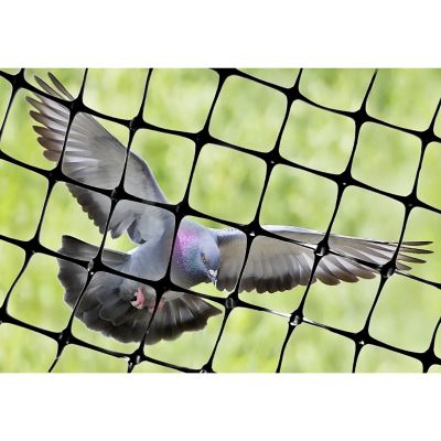 Bird-X 100 ft. x 14 ft. Heavy-Duty Plastic Bird Netting