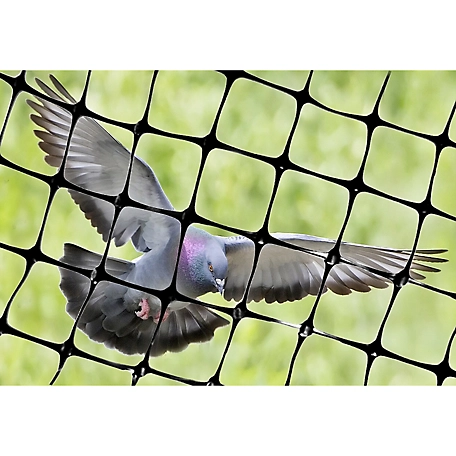 Bird Nets for Catching Birds With Better Performance Outcomes