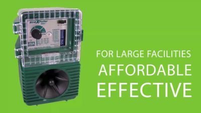 Image showing  14 ft. x 100 ft. Heavy-Duty Plastic Bird Netting