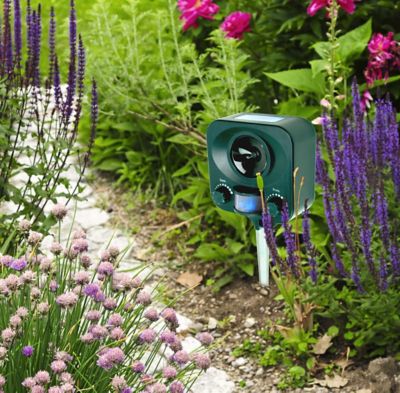 Image showing  Solar Yard Gard Animal Repeller for Deer, Rabbits, Raccoons, Squirrels and Stray Cats