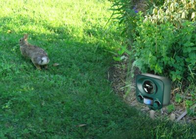 Image showing  Solar Yard Gard Animal Repeller for Deer, Rabbits, Raccoons, Squirrels and Stray Cats