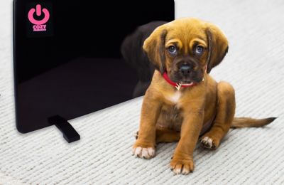 Image showing  Cozy Pet Warmer Safe Pet Space Heater 200 Watts Dogs Cats