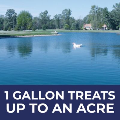 Image showing  Ultimate Blue Pond Dye, 9.1 lb.