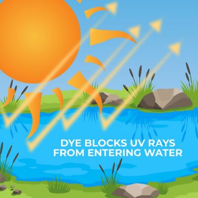 Image showing 6 th PondValue Ultimate Blue Pond Dye, 9.1 lb.