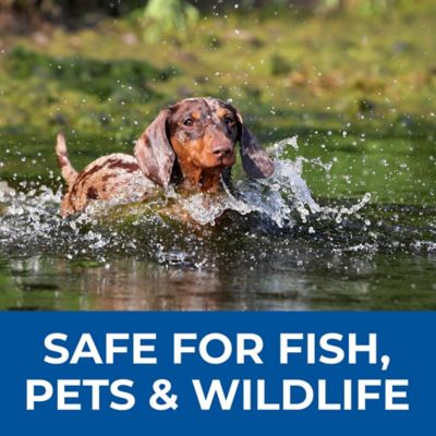 Image showing 8 th PondValue Ultimate Blue Pond Dye, 9.1 lb.