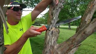 Image showing  Pole2 16 in. Hand Saw