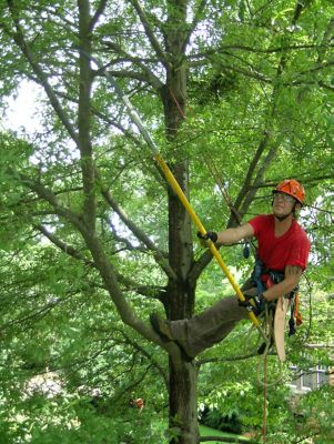Image showing  13 in. Pole Saw Head Kit with Scabbard